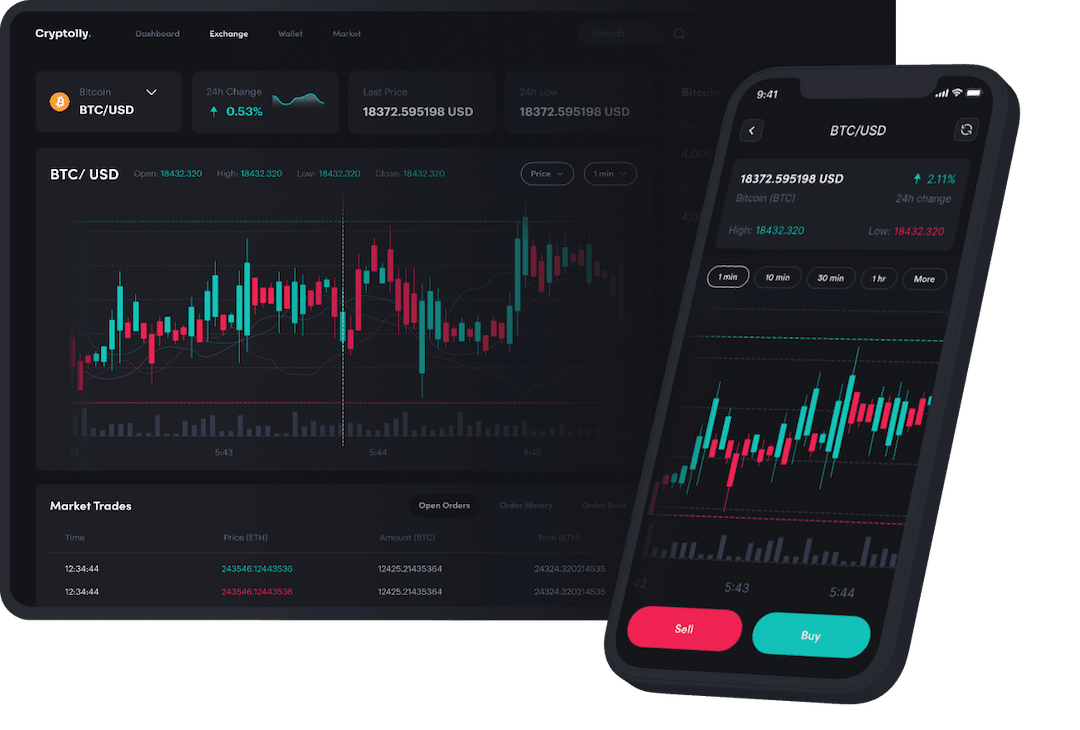 cryptolly-illustration-2